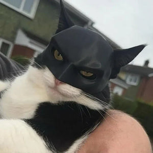 Batman Mask For Your Cat KSA DROP